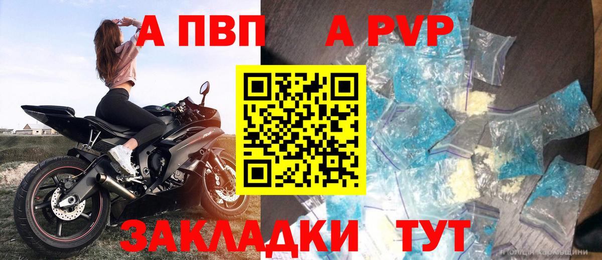 Alfa_PVP СК Кисловодск