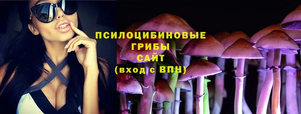 эйфоретик Михайловск