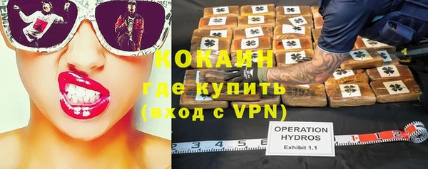 не бодяженный Михайлов