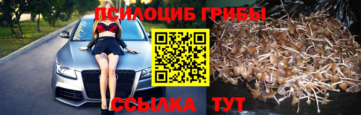 Кисловодск  Галлюциногенные грибы прущие грибы  Вход с VPN  как найти наркотики  Галлюциногенные грибы ЛСД 