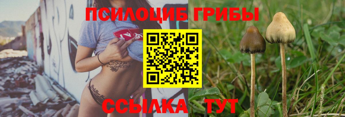 Галлюциногенные грибы ЛСД Кисловодск